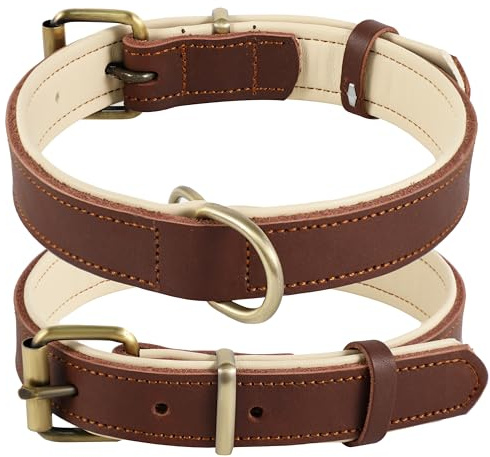 Collier pour Chien en Cuir, Collier pour Chien de différentes Tailles et Couleurs, véritable, Robuste, Confortable, Rembourrage intérieur Doux avec Design de Couleur contrastée, de 25 à 57 cm