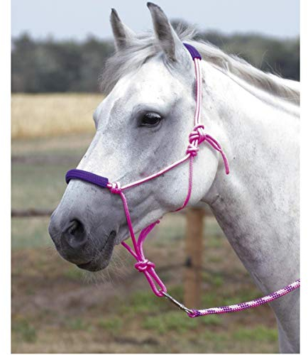 Knotenhalfter-Set TWO-TONE