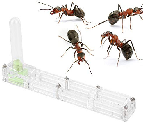 Ant Breeding Box, Acrylic Ant Breeding Nest Ant Farm House Ant Display Box with Water Tower, Moisturizing, with 1Pcs Dropper, 1Pcs Clamp, 1Pcs Glass Bottle(Transparent)