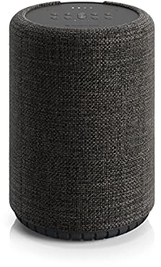 Audio Pro Cassa Bluetooth Wireless Multiroom Portatile con Controllo Vocale - Speaker Potente Compatibile con AirPlay 2, Google Assistant y Cast, Spotify Connect G10 - Grigio Scuro