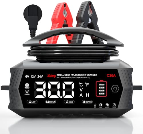 HTRC LiFePO4 Chargeur de batterie de voiture, 30 A, 6 V/12 V/24 V, pour voiture, camion, moto, tondeuse à gazon, bateau, marine, chargeur de batterie pour LiFePO4, lithium, plomb-acide (AGM, gel, EFB