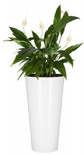 B2C Planter Plant Pot Flowerpot White Glossy Tubus Outdoor Garden Balcony Indoor Modern Tall Shiny Modern (H 57.2cm x D 30cm)