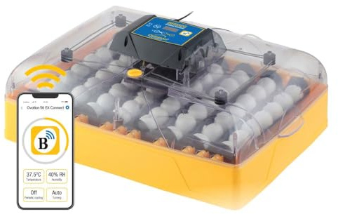 Brinsea Ovation 56 EX Connect App-controlled Fully Automatic 56 Hen Egg Incubator