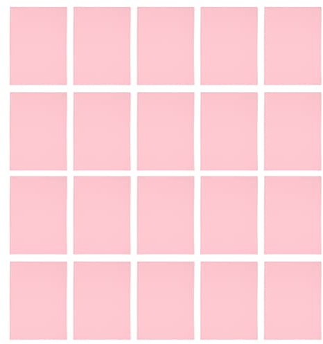20-packsarkskydd för 30-hålspärmar |Genomskinlig Letter - Storlek Plastöverdrag begränsar kikning |Flytande - för rapporter/anteckningsböcker/presentationer (Pink)