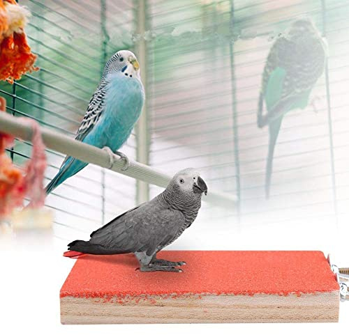 Oiseau Perche Stand en Bois Naturel Rough Plate-Forme Jouet Terrain De Jeux Patte De Meulage Propre Givré Conseil pour Pet Perroquet Hamster Écureuil(Red)