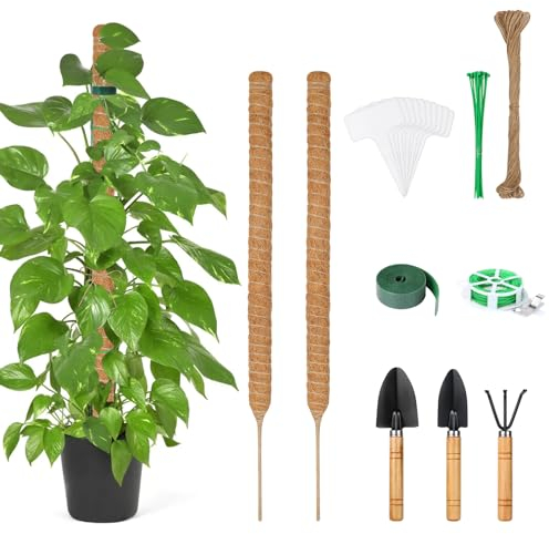 Furuising 2 Pezzi Bastone di Muschio 70cm, Addensare Palo Totem in Fibra di Cocco, Pieghevoli Bastone per Piante Rampicanti con 7 Accessori per Piante Bastoncino di Muschio per Piante Rampicanti