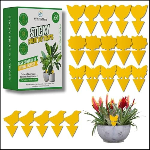 Fruit Fly Traps Trap Indoor Sticky Yellow For Home Use Protect Plants Plant Houseplant Fungus Gnat Killer Insect Catcher Bug Catchers Control Pests Whitefly Non Toxic Odourless Safe Waterproof (20)