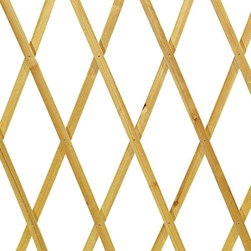 VERDELOOK | Traliccio Estensibile in Legno Naturale, 150x200 cm, per Decorazioni Terrazza e Balcone, Sostegno Piante Rampicanti