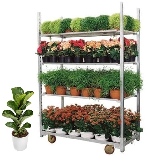Carro Danés para Plantas y Flores - Estructura Galvanizada de Alta Resistencia con Capacidad 350 kg, Bandejas Ajustables y Desmontables, Ruedas Duraderas, Ideal para Exhibir Macetas en Floristerías
