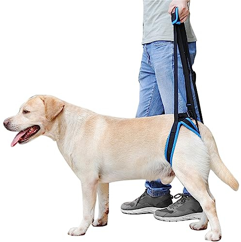 MIGHTYDUTY Imbracatura Per Cani Zampe Posteriori Regolabile Imbragatura Di Sostegno Per Cani Anziani, Disabili e Feriti XL