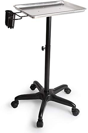Begoniape Chariot de salon de beauté, plateau argenté, colonne en fer, chariot de bureau, chariot cosmétique avec roulettes, cosmétique polyvalent pour salon de beauté, coiffeur