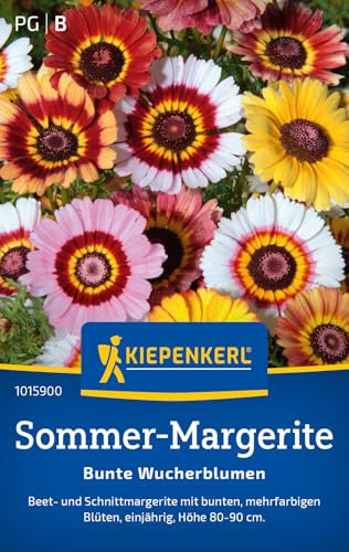 Kiepenkerl Sommer-Margeritensamen Bunte Wucherblumen 1015900 - Blumensamen für Beet- und Schnittmargeriten mit einem Inhalt für 100 Pflanzen - Saatgut