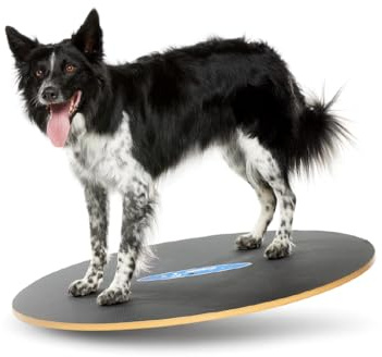 FitPaws® 36 Wobble Board, Dog Balance Training, Rehab + Exercise Equipment
