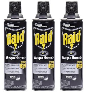 Raid Wasp & Hornet Killer Spray, 14 OZ (Pack - 3)