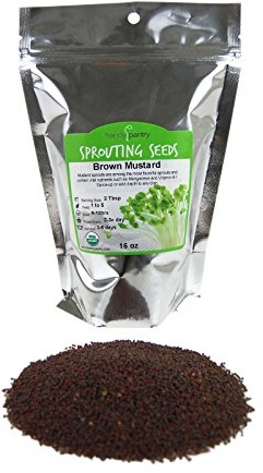 Organic Brown Mustard Sprouting Seeds: 1 Lb - Hot Mustard Seed: For Spices, Sprouts, Microgreens, Making Gourmet Mustard, More