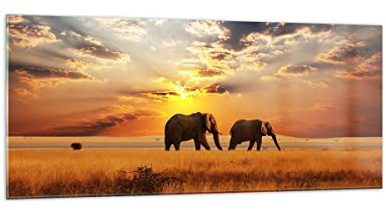 Decoracion Salon Elefantes Safari selva arbusto Vidrios decorativos 120x50cm Cuadro Sobre Vidrio Moderno Cocina Cuadros Pared Impresiones Impresión en Cristal Wall Art Prints Grande GAB120x50-3150