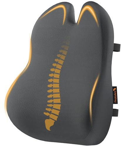ProtoArc Almohada de Apoyo Lumbar para Silla de Oficina, Almohada de Espuma viscoelástica para la Espalda Baja, cojín Lumbar para Silla de Escritorio, Respaldo ergonómico para Silla - Gris Oscuro