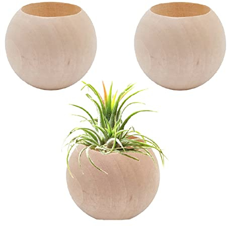 Nwsrayu 3 soportes de madera para plantas de aire, macetas de aire, contenedores de exhibición para plantas de aire, centro de mesa, macetas suculentas para decoración de mesa en el hogar y la oficina