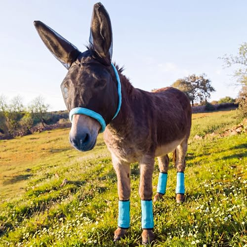 Yeyeplum Mini masque anti-mouches âne avec oreilles et 4 bottes | Comprend 1 masque anti-mouches et 4 bandages de jambes pour ânes et mules, avec couvre-yeux en maille et sangles réglables