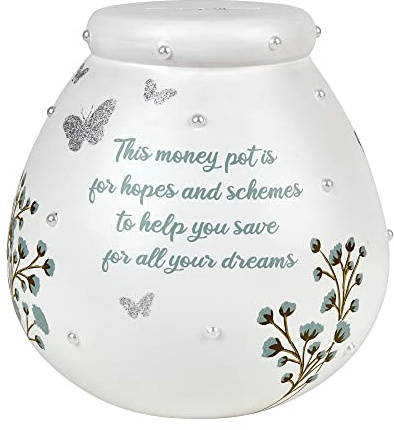 Pot of Dreams Floral Bloom Hand Painted Save And Smash Handcrafted Ceramic Money Box | Eco Freindly & Recyclable Piggy Bank With Message | Perfect Decorative Gift and Save for Birthdays & holiday