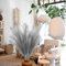 Ziamzra Pampas Sechees Decoración, 6 piezas, Hierba de la Pampa, 110 cm, ramo artificial de flores secas naturales, Pampa hierba para salón, boda, oficina, dormitorio (gris)