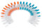Beldray LA028259TQ Ultra-Grip Lot de 24 Épingle à Linge, Pinces à Linge pour la Maison, Épingles à Linge pour Vêtements, Pinces pour Corde à Linge, Plastique, Multicolores