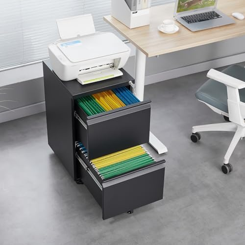 PUGSDRLY Armoire Bureau avec 2 Tiroirs pour Dossiers légaux/Lettres/A4,Caisson Bureau Mobiles avec Rangement,Armoire Metallique,Classeur Polyvalent,Design 5 Roues Anti-basculement (Noir-C)