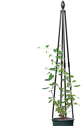 Treillis Obélisque pour Grimpantes，Support pour Plantes grimpantes Pyramide en métal 90 à 180cm，métal, à Poser,Treillis pour d'Extérieur, Colonne Rosier, Arche Plante grimpante, Black ( Size : 71/180