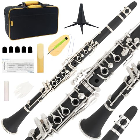 Rsasi Bb Clarinet - Band Clarinet for Beginner, with, Mouthpiece, Hard Case Bag and Cleaning Kit(Black)