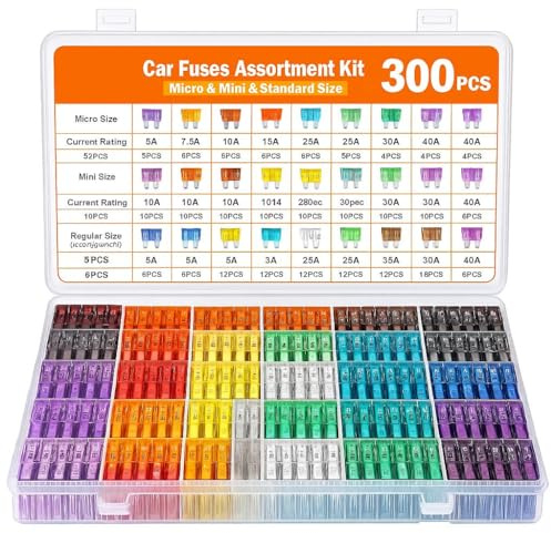 PintoHardware Kit di Fusibili per Auto, 300 Pezzi Auto + 1 Clip, Per Camper, Furgoni, Moto, Taglie 50 Micro, 160 Mini e 90 Standard, 2A a 40A, con Valigetta Organizzatore