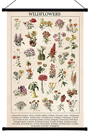 Geyee Wildflowers Vintage Poster Wall Decor Rustic Hanging Art Illustrative Reference Chart Prints Picture for Living Room Office Classroom Bedroom Frame, 15.8 x 23.6 Inch