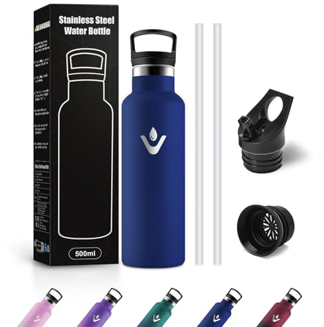 JAPORIA Borraccia Acciaio Inox 500ml, Bottiglia Termica con Cannuccia, Riutilizzabile, senza BPA, a prova di perdite, Termos per Scuola, Campeggio