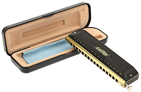 East Top Chromatische Mundharmonika Tonart C 16 Hole 64 Tone Chromatic Harmonica für professionelle Spieler, Anfänger, Studenten, Erwachsene,als bestes Geschenk(BK)
