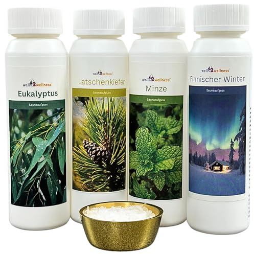 well2wellness Sauna Infusion pour sauna set Classique 4 x 125 ml Pin, menthe, finlandais hiver, eucalyptus
