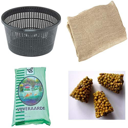 MIX LE MIGLIORI PIANTE DA FIORE PER LAGHETTI (set vaso+terra)