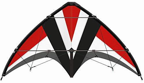 Paul Günther 1031 - Cerf-Volant de Sport Whisper 125 GX, cerf-Volant pour débutants, Voile en Polyester Ripstop indéchirable, tiges Robustes en Fibre de Verre, Taille env. 125 x 54 cm