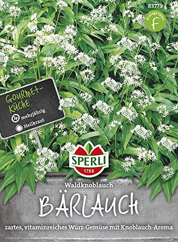 Sperli 83773 Bärlauch (Wald-Knoblauch) (Bärlauchsamen)