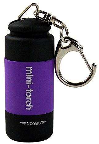 BesDirect Mini torche de poche porte-clés, lampe torche LED rechargeable Mini USB, lampe de poche mini porte-clés étanche pour la randonnée en camping en plein air (Violet)