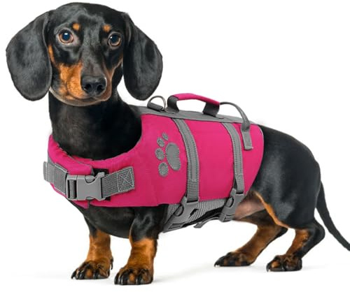 Queenmore Schwimmring für Hunde, Größe M, reflektierend, hohe Auftrieb | für mittelgroße Hunde, Schwimmen, Kajak, Paddleboarding Mit Rettungsgriff, Life Jacket (M, Fuchsia)