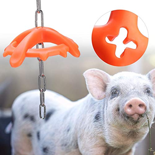 Omquot Jouet à Mâcher pour Porcelet Vétérinaire Suspendu en Plastique Haute Résistance pour Animaux D'attrait Alimentaire de Ferme, Plaque de Morsure Durable et Chaîne en Métal, Empêche Les Morsures