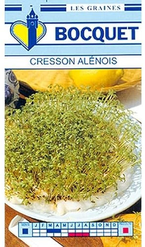 Sachet de graines de Cresson Alénois Commun - 3 g - légume feuille - LES GRAINES BOCQUET