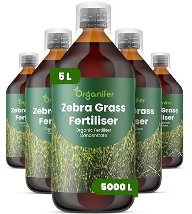 Fertilizante Líquido Para Hierba Cebra 5L – Abono Orgánico Para Hojas Saludables Y Crecimiento Fuerte – Refuerza Raíces Y Vitalidad – Organifer