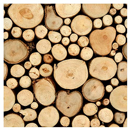 murando PREMIUM Vlies Tapete Deko Panel Fototapete Wanddeko 10 m Tapetenrolle Mustertapete Wandtapete modern design Dekoration - Holz 1602-8
