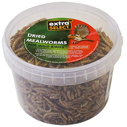 Extra Select Dried Mealworms for Wild Birds: Protein Rich Wild Bird Food for Robins and Wildlife - Meal Worms for Garden Birds - 500 ml