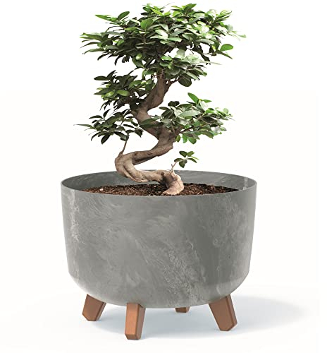 botle Pot de fleurs Jardinière avec pieds - En plastique gris clair - 29 cm - Avec insert - Aspect béton - Pour arbre d'argent - Cactus - Arbre en caoutchouc - Pot Plante Exterieur