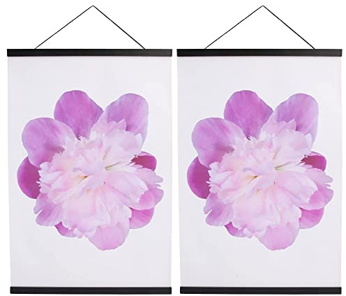 Aynoo furu 20 cm affischhängare ram svart 2-pack