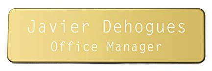 Filhome Personalisiert Edelstahl Namensschilder ID-Abzeichen Firmenname mit Magnet/Brosche für Kleidung (Magnetisch, Gold)