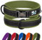 Didog Personalized Nylon Dog Collar, Soft Neoprene Padded Custom Dog Collars, Reflective Dog Collar with Engraved Name Plate for Small Medium Large Dogs, Green, M