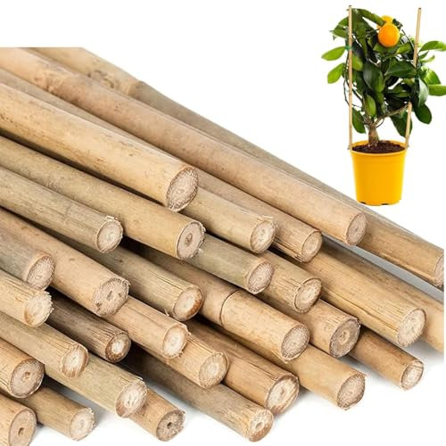 Almineez Natural Bamboo Plant Support Sticks 90cm / 3FT Plant Stakes Split Canes, Floral Garden Flower Sticks for Orchid Pea Vegetables Support Floral Plant Stakes Eco-Friendly (20)