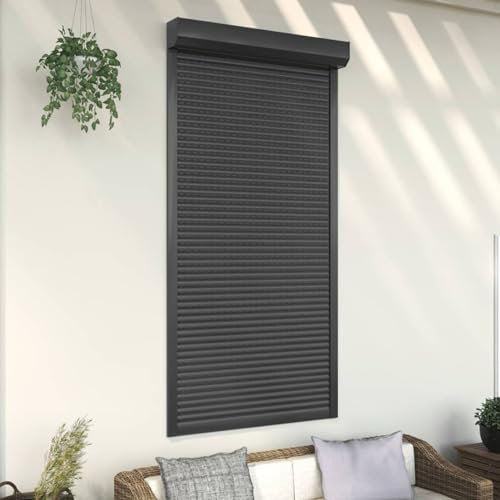 LAPOOH Tapparella Avvolgibile in Alluminio 110x220 cm Antracite,Articoli di ferramenta,Materiali da Costruzione,Serrande-144983